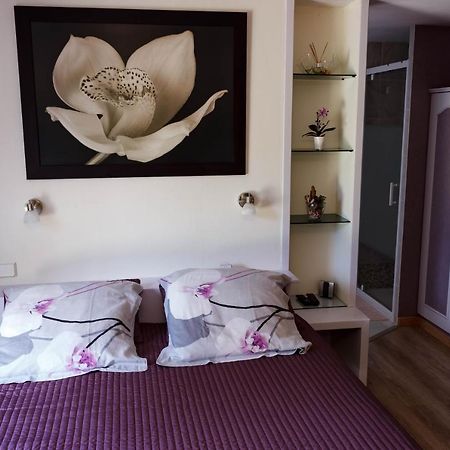 B&B Gilclau Saint-Martial-d'Artenset ภายนอก รูปภาพ